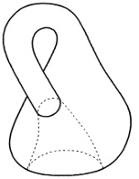 Figure 2 : bouteille de Klein